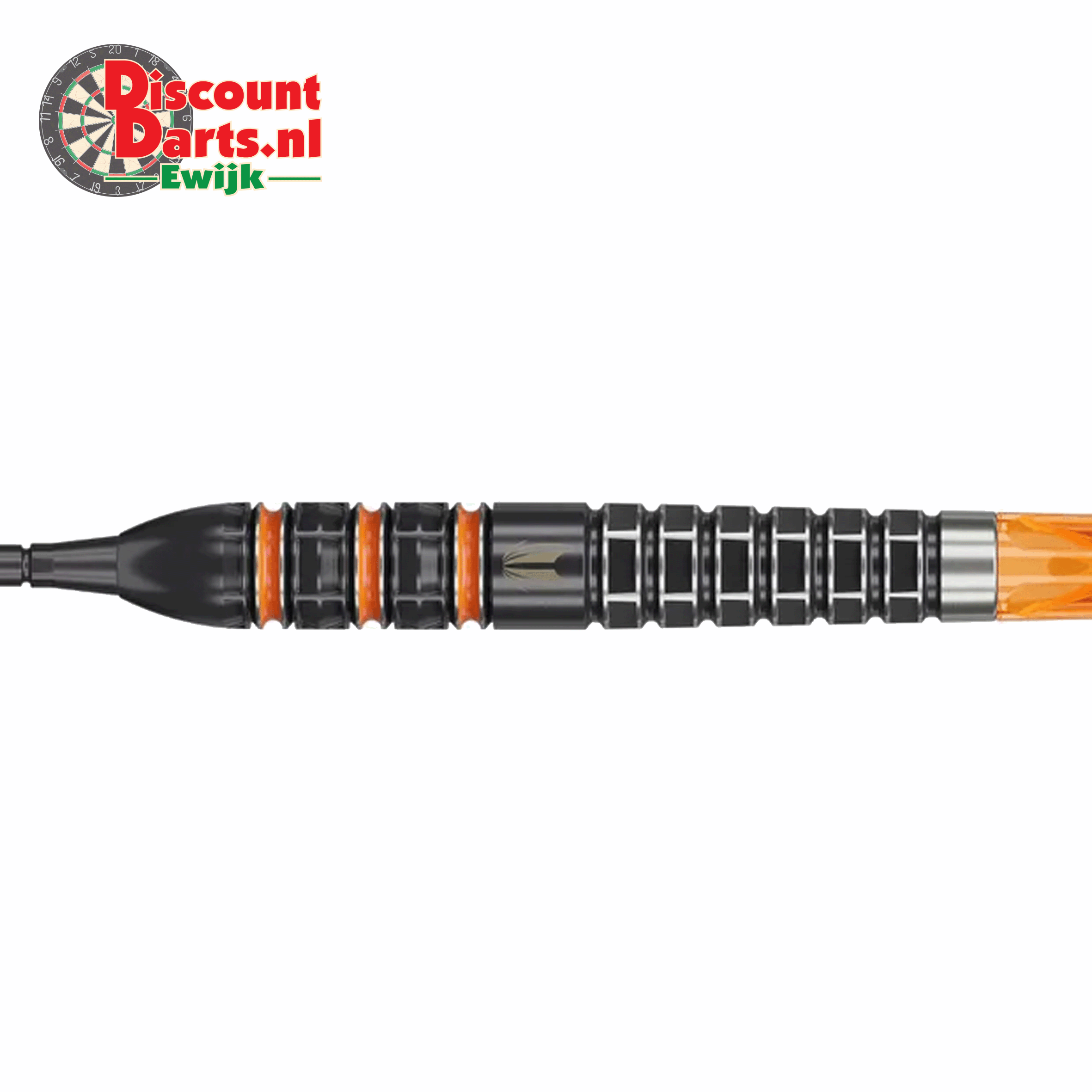 Raymond Van Barneveld 95K 21 Gram