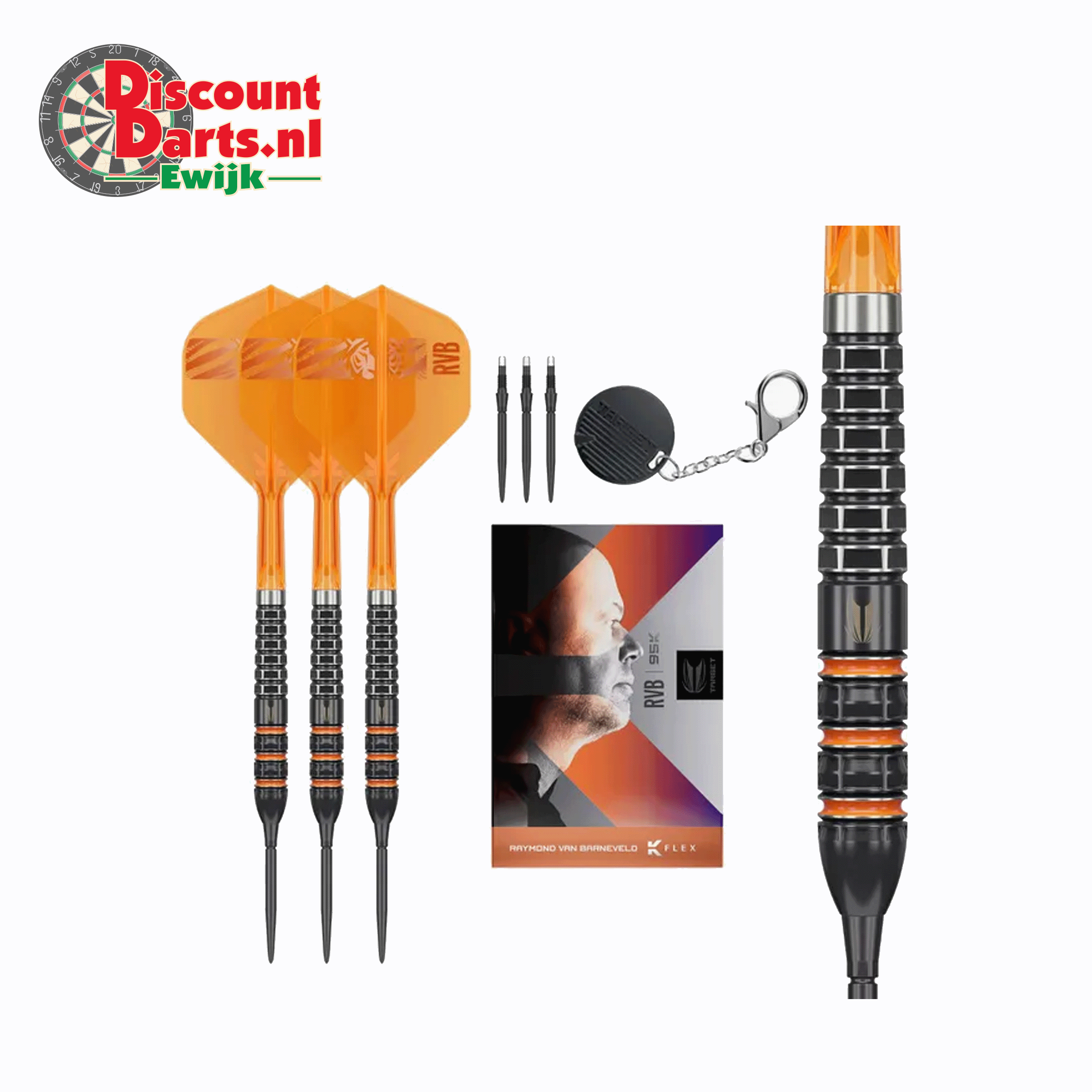 Raymond Van Barneveld 95K 21 Gram