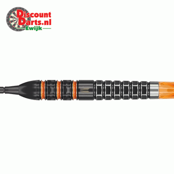Raymond Van Barneveld 95K 21 Gram